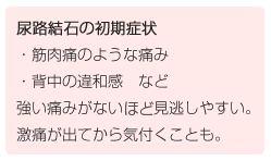 尿路結石 尿管結石 内科 泌尿器科 梅津クリニック 辻堂駅南口徒歩1分 藤沢市